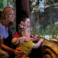Arriva la Festa della Mamma: Gardaland SEA LIFE Aquarium ti aiuta a farle un regalo grande come il mare Se vuoi dire alla tua mamma che il bene che le […]