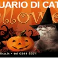 Dal 29 ottobre al 1 novembre, l’Acquario di Cattolica si traveste da brivido e diventa un set cinematografico per festeggiare la festa di Halloween. I percorsi si trasformano in labirinti […]
