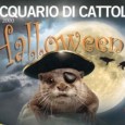 Per festeggiare con una zucca gialla, la più tenebrosa festa di Halloween della Riviera Adriatica. Ogni week end di ottobre a partire da sabato 6 e dal 31 ottobre fino […]