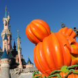 Il Festival di Halloween È ancora più “fantasmagorico” per il 20° Anniversario di Disneyland Paris! – Da 1 ottobre a 4 novembre 2012 – Topolino e i suoi amici preparano […]