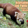 17 SETTEMBRE PANDA DAY AL PARCO LE CORNELLE Appuntamento da non perdere al Parco Le Cornelle con una giornata Educazoo per celebrare il Panda Day. Il Parco e tutti i […]