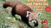 17 SETTEMBRE PANDA DAY AL PARCO LE CORNELLE Appuntamento da non perdere al Parco Le Cornelle con una giornata Educazoo per celebrare il Panda Day. Il Parco e tutti i […]